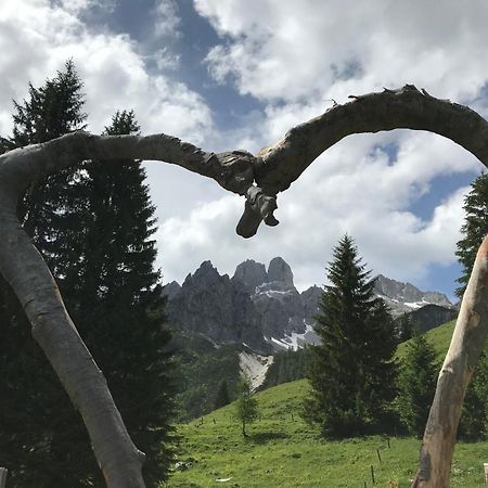 Chalet Kleinbergsonne Filzmoos Εξωτερικό φωτογραφία