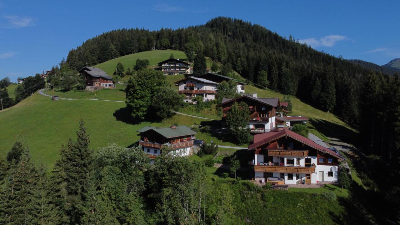 Chalet Kleinbergsonne Filzmoos Εξωτερικό φωτογραφία