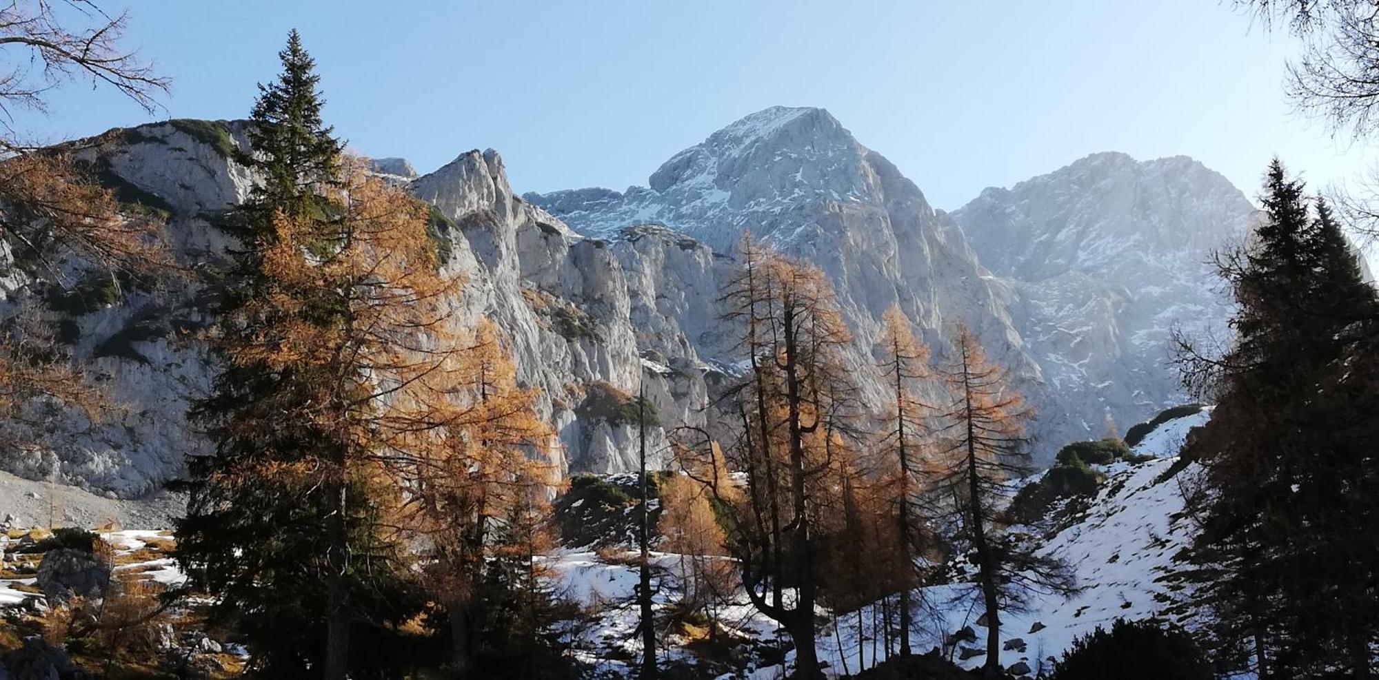 Chalet Kleinbergsonne Filzmoos Εξωτερικό φωτογραφία