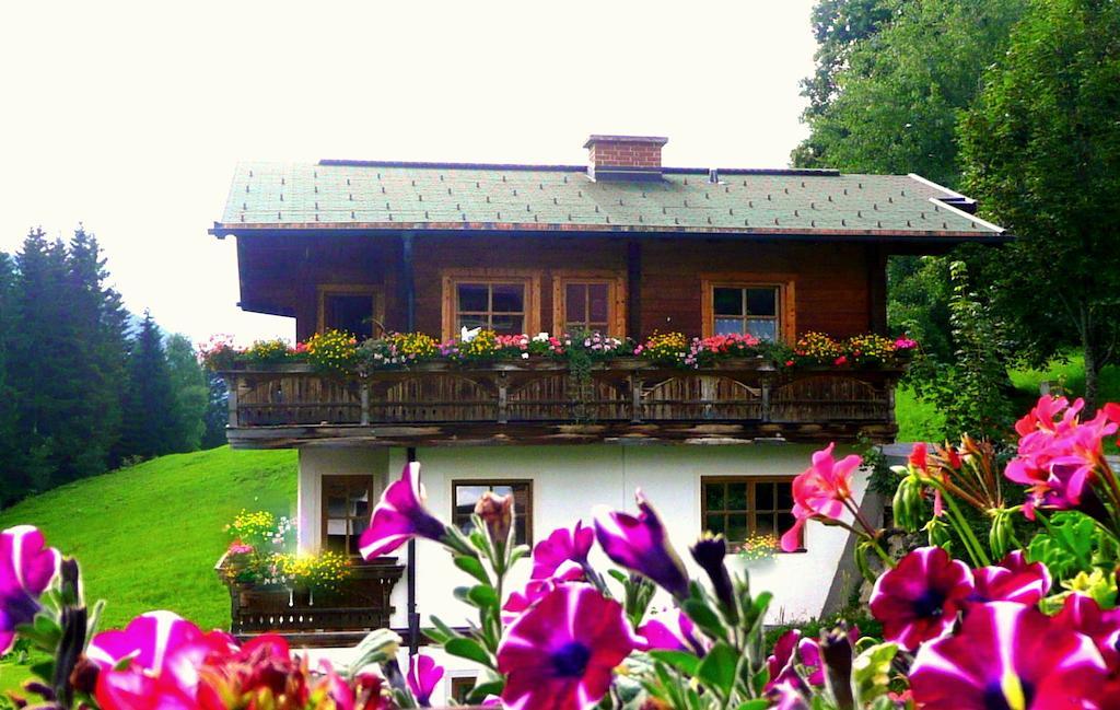 Chalet Kleinbergsonne Filzmoos Εξωτερικό φωτογραφία